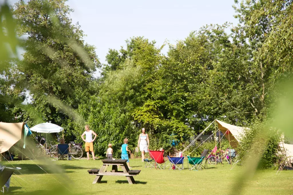 Lauwersoog camping